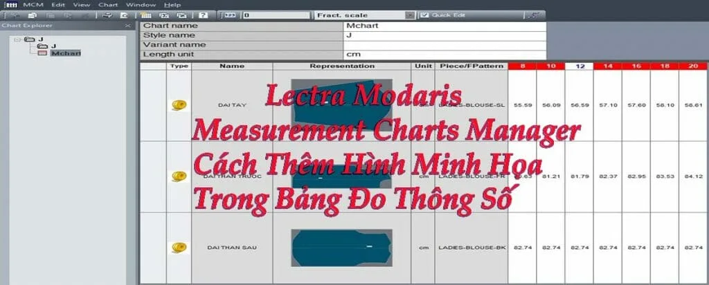Lectra Modaris Measurement Charts Manager: Cách Thêm Hình Minh Họa Trong Bảng Đo Thông Số 1 Lectra Modaris Measurement Charts Manager