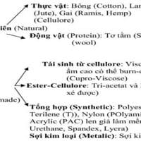 vat-lieu-det