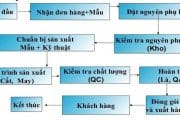 Nhiệm Vụ Công Việc Của Merchandiser