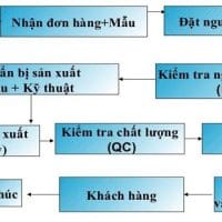 Nhiệm Vụ Công Việc Của Merchandiser